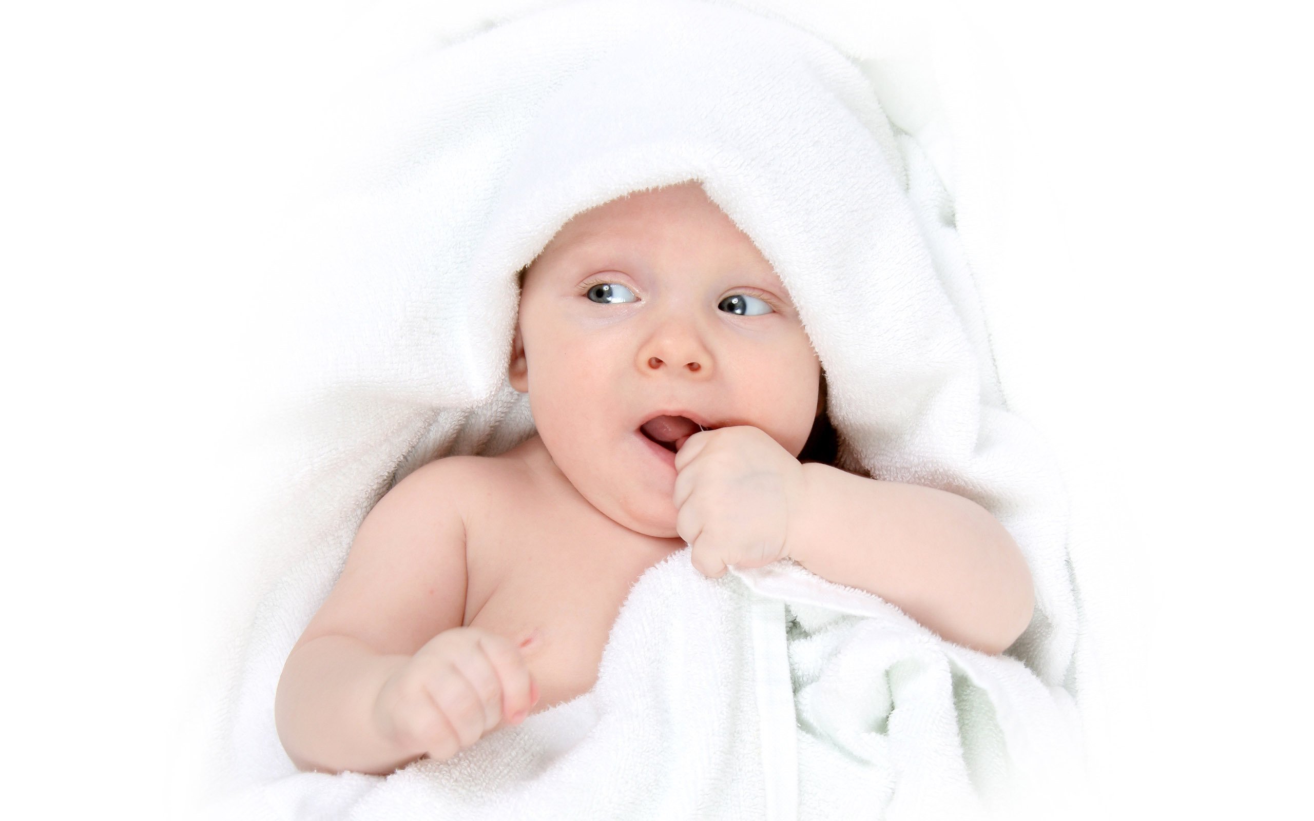 捐卵机构第一次试管婴儿成功率